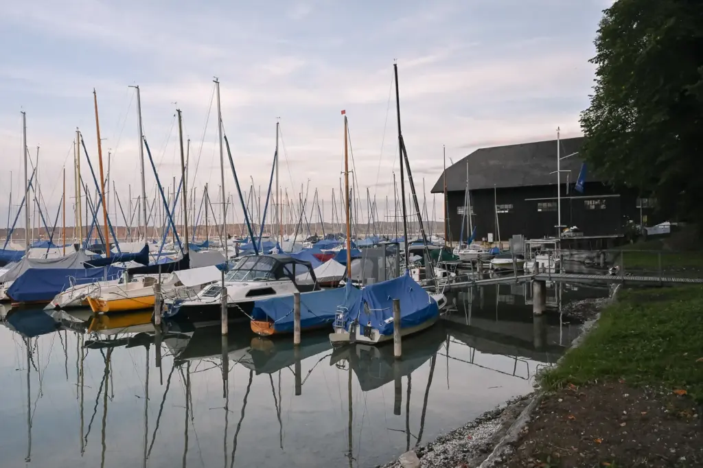 Der Yachthafen Bernried mit vielen Booten, rechts ein dunkles Bootshaus am Ufer, im Wasser spiegeln sich die Masten
